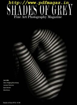 Shades of Grey – N 22, 2019