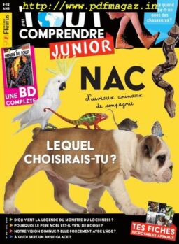 Tout Comprendre Junior – decembre 2019