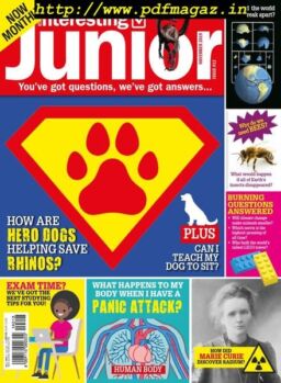 Very Interesting Junior – November 20, 2019