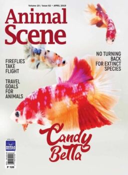 Animal Scene – April 2019