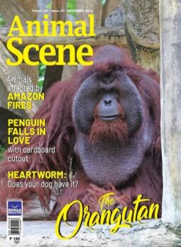Animal Scene – December 2019