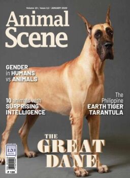 Animal Scene – January 2020