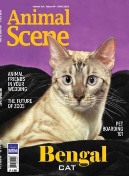 Animal Scene – June 2019