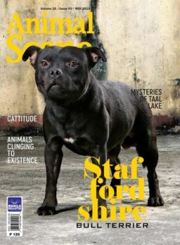 Animal Scene – May 2019