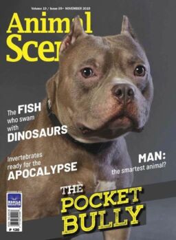 Animal Scene – November 2019