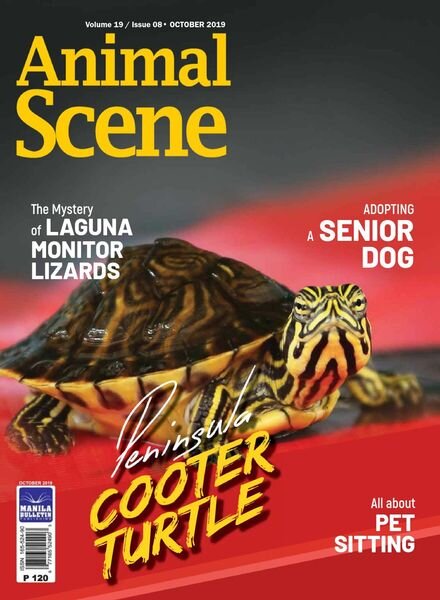 Animal Scene – October 2019 Cover