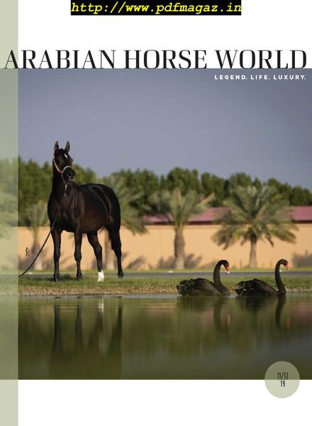Arabian Horse World – November 2019 Cover
