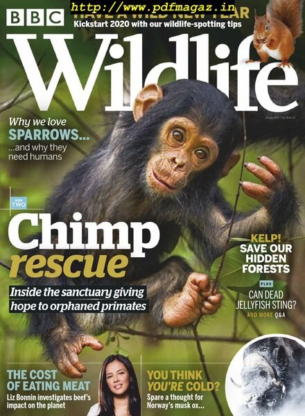 BBC Wildlife – January 2020 Cover