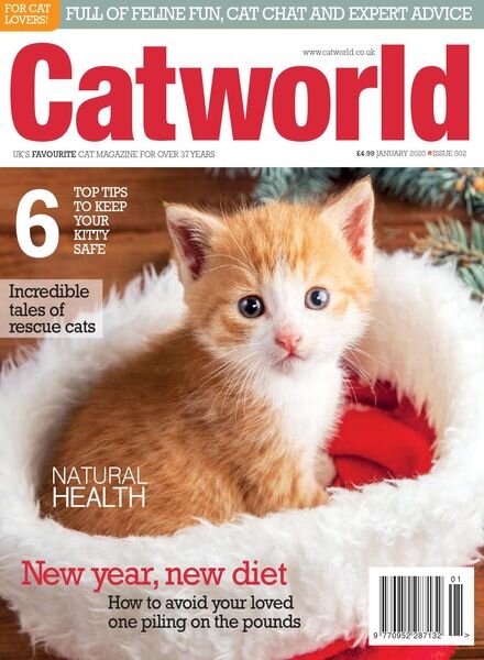 Cat World – Issue 502 – January 2020 Cover
