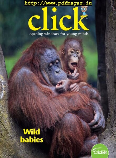 Click – January 2020 Cover