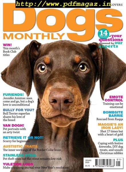 Dogs Monthly – January 2020 Cover