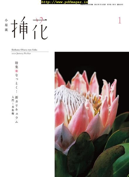eBooks – 2020-01-01 Cover