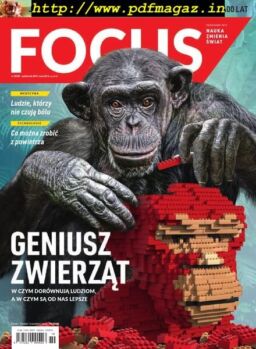 Focus Poland – Pazdziernik 2019