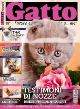 Gatto Magazine – Giugno 2018