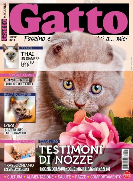 Gatto Magazine – Giugno 2018 Cover