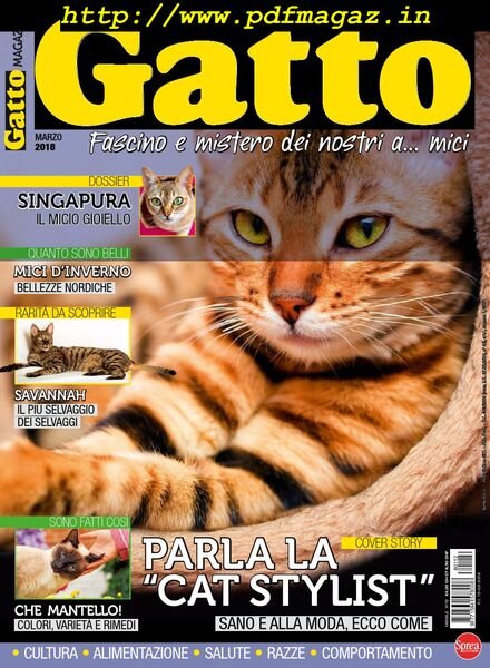 Gatto Magazine – Marzo 2018 Cover
