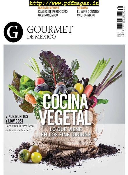 Gourmet de Mexico – enero 2020 Cover