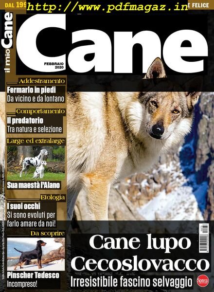 Il Mio Cane – Febbraio 2020 Cover