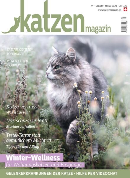 Katzen Magazin – Januar-Februar 2020 Cover