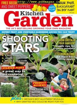 Kitchen Garden – February 2020