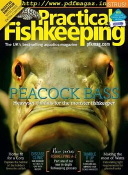 Practical Fishkeeping – February 2020