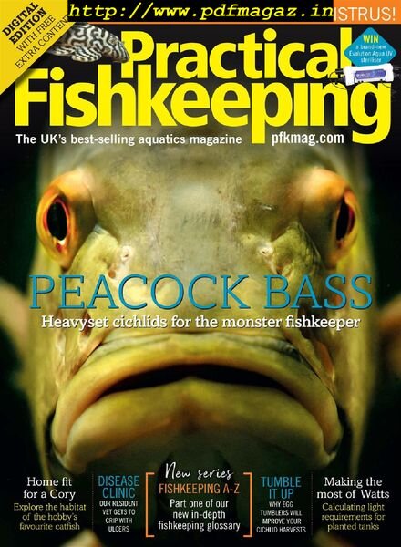 Practical Fishkeeping – February 2020 Cover