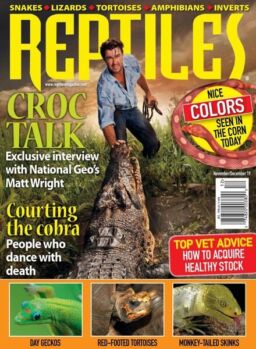 Reptiles – November-December 2019