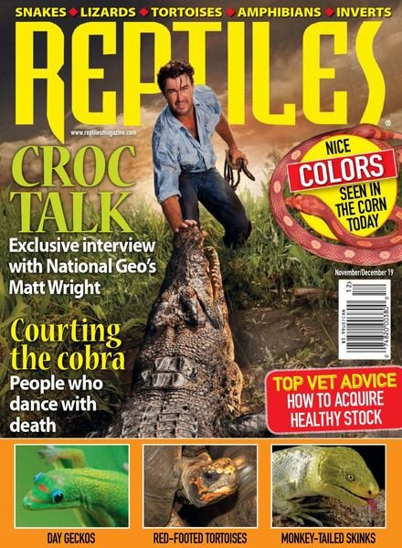 Reptiles – November-December 2019 Cover
