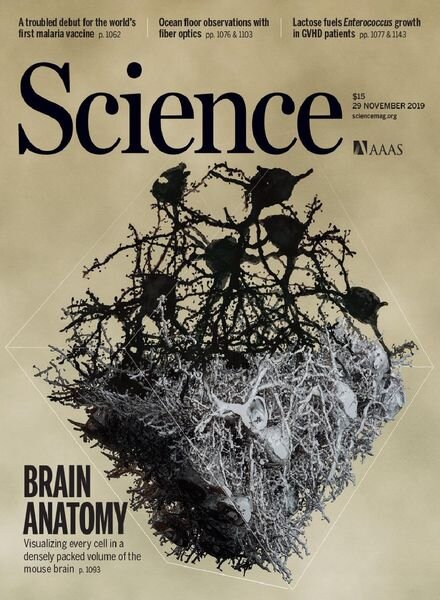 Science – 29 November 2019 Cover