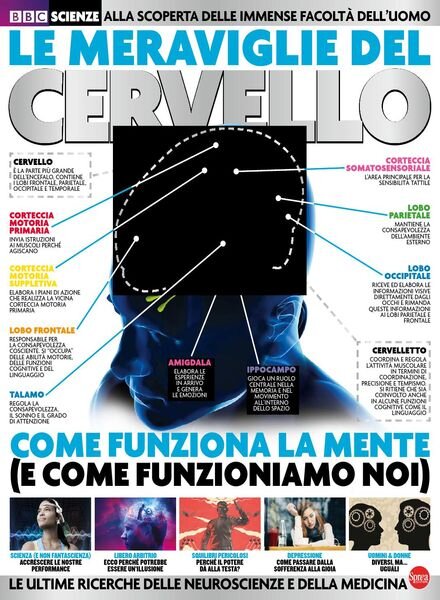 Science World Focus – Domande e Risposte N.11 – Le Meraviglie del Cervello – Gennaio-Febbraio 2018 Cover