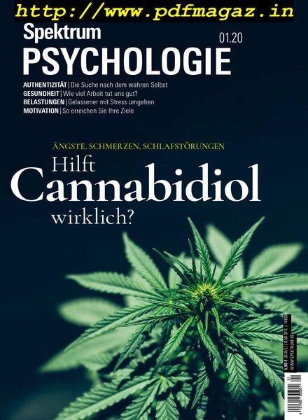 Spektrum Psychologie – Dezember 2019 Cover