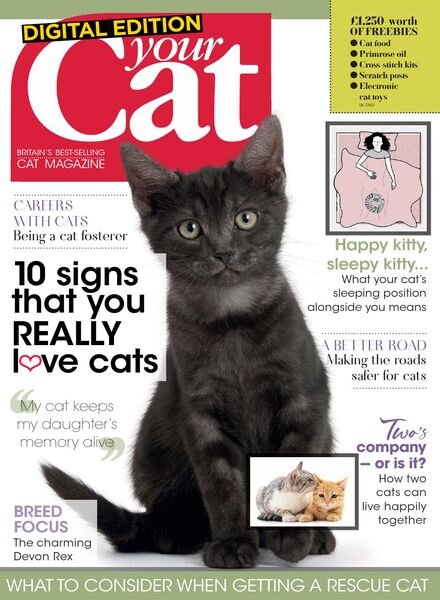 Your Cat – February 2020 Cover