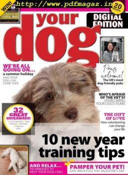 Your Dog – February 2020