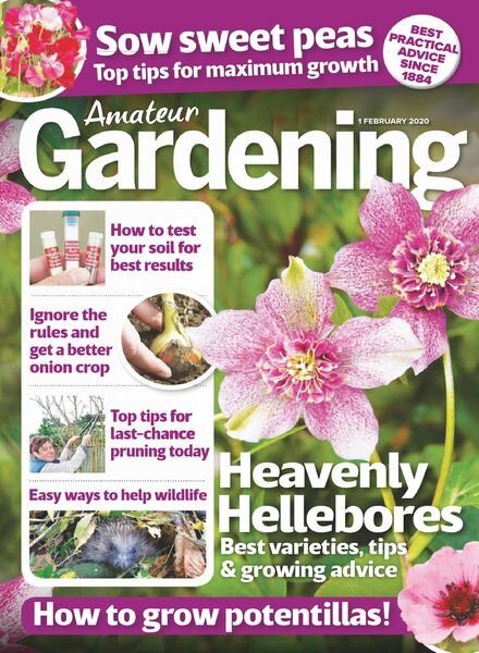 Amateur Gardening – 01 February 2020 Cover