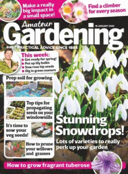 Amateur Gardening – 18 January 2020