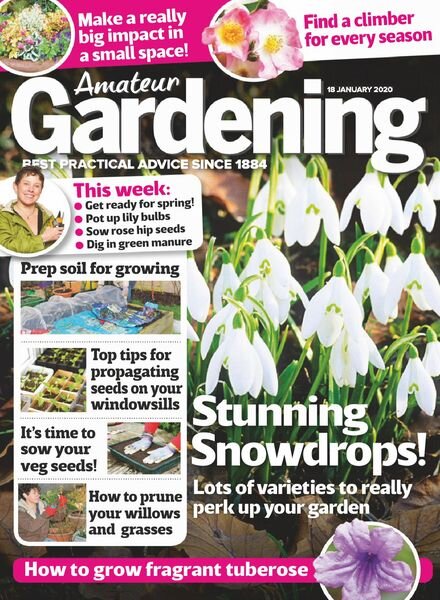 Amateur Gardening – 18 January 2020 Cover