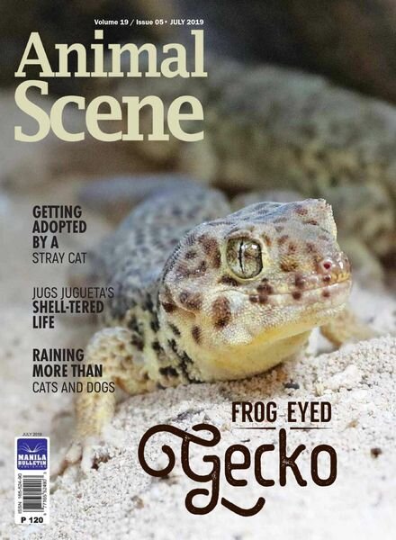 Animal Scene – July 2019 Cover
