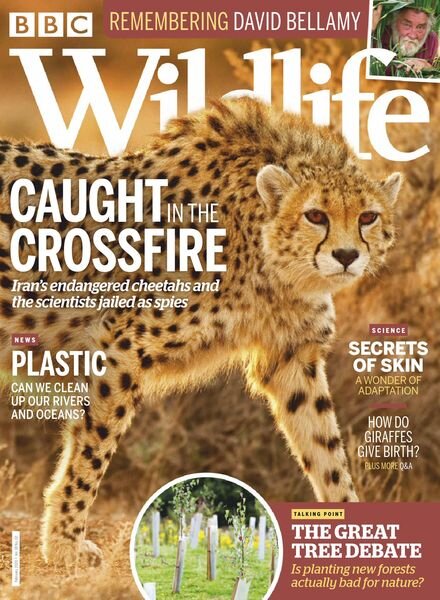 BBC Wildlife – February 2020 Cover