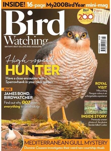 Bird Watching UK – March 2020 Cover