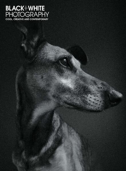 Black + White Photography – July 2019 Cover