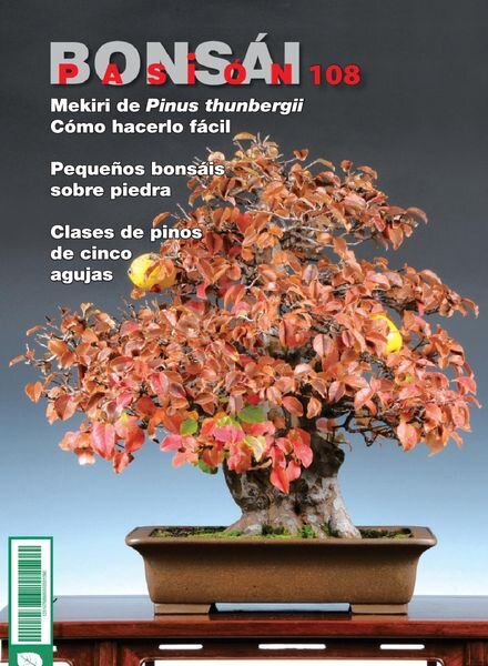 Bonsai Pasion – febrero 2020 Cover