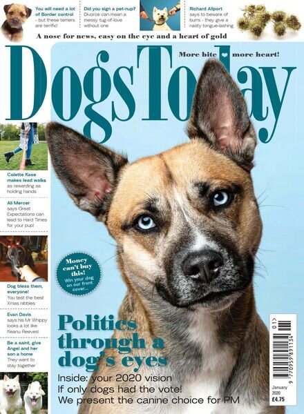 Dogs Today UK – January 2020 Cover