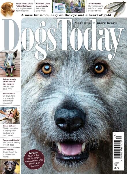 Dogs Today UK – March 2020 Cover