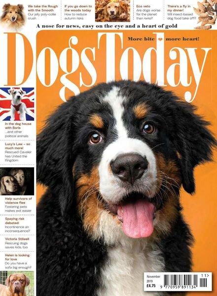 Dogs Today UK – November 2019 Cover