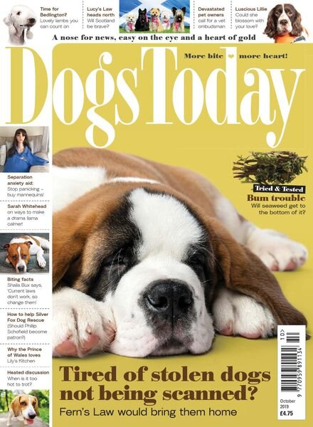 Dogs Today UK – October 2019 Cover