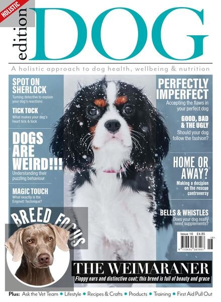 Edition Dog – Issue 16 – February 2020 Cover