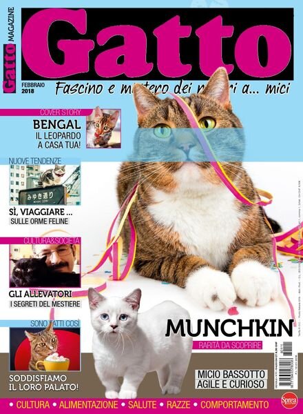 Gatto Magazine – Febbraio 2018 Cover