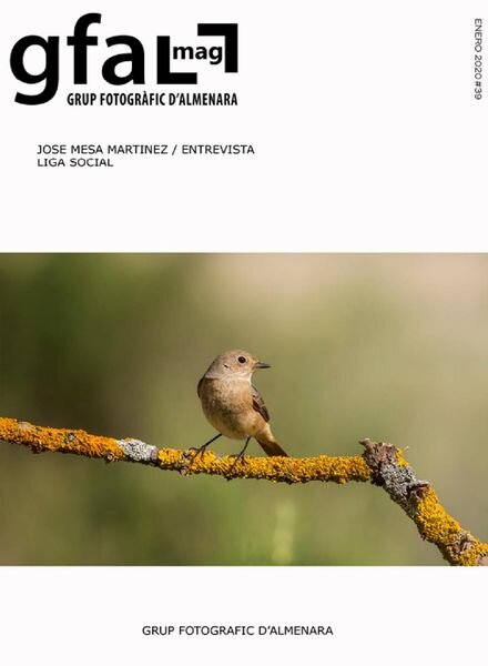 Gfal – Enero 2020 Cover