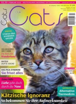 Our Cats – Februar 2020