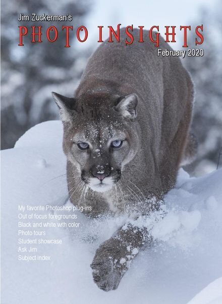 Photo Insights – February 2020 Cover